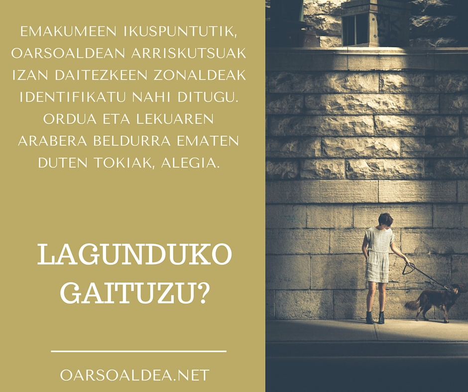 2 zabalkunderako irudia eusk