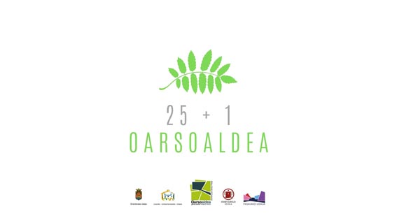 25 eta 1 irudia onaa