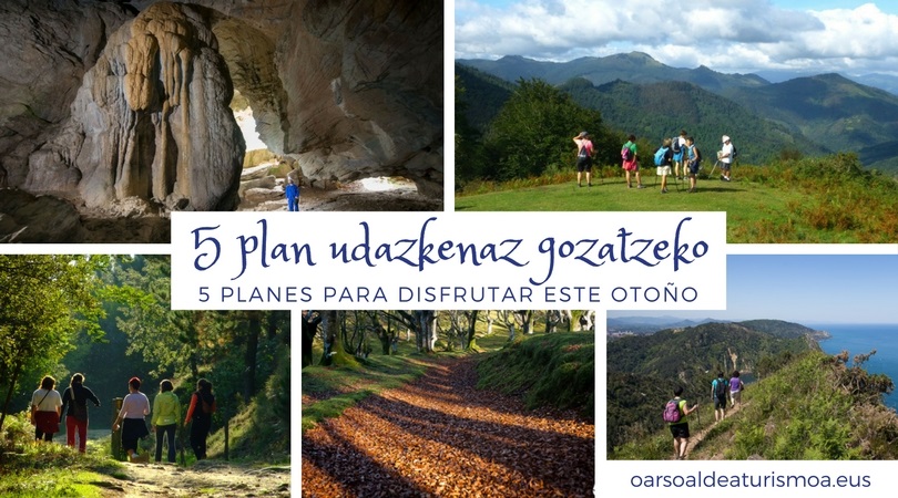 5 planak