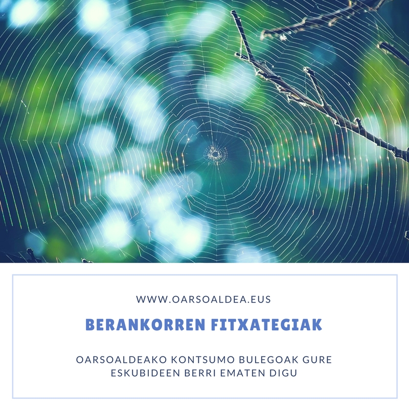 berankorrak