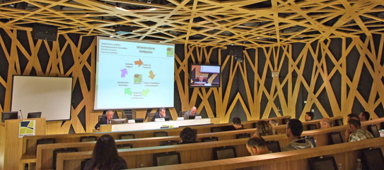 foro cheque innova