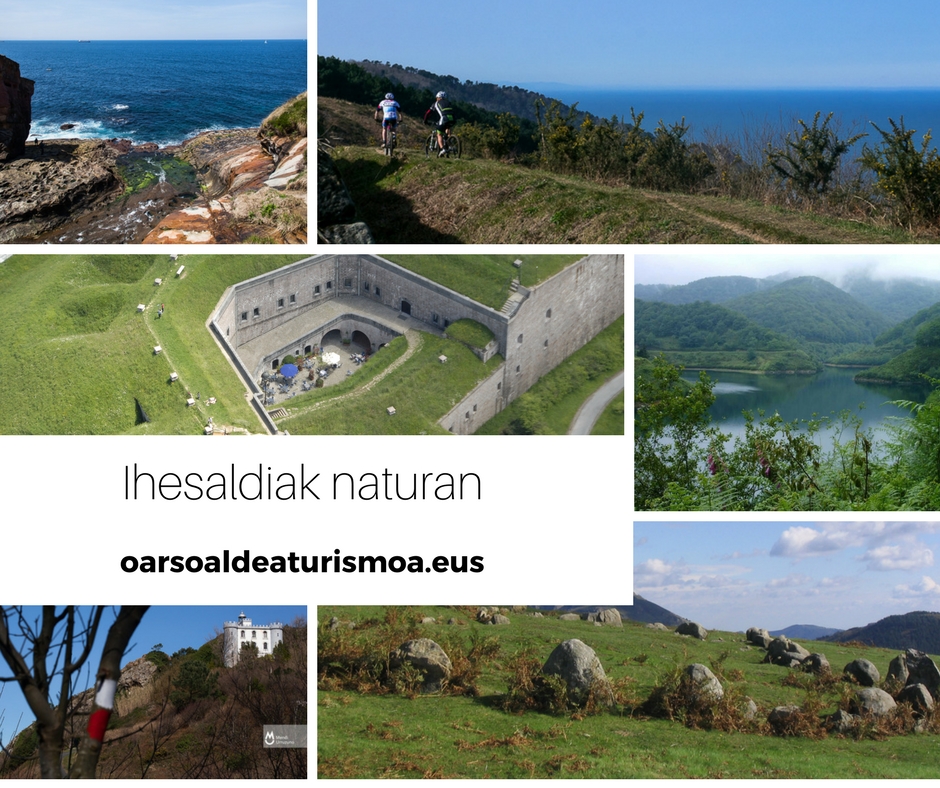 ihesaldiak