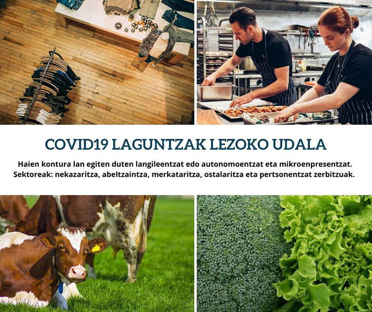 lezo-laguntzak-eusk-7web