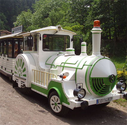 tren-berdea02