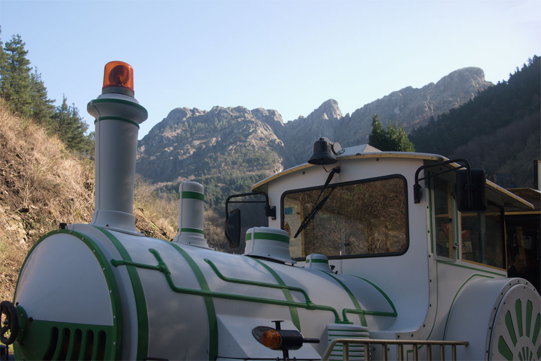 tren-berdeaop