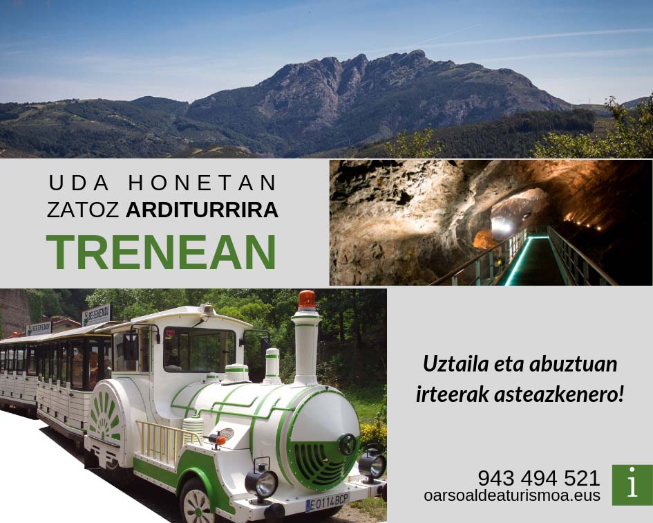 trena udaran eusk 002