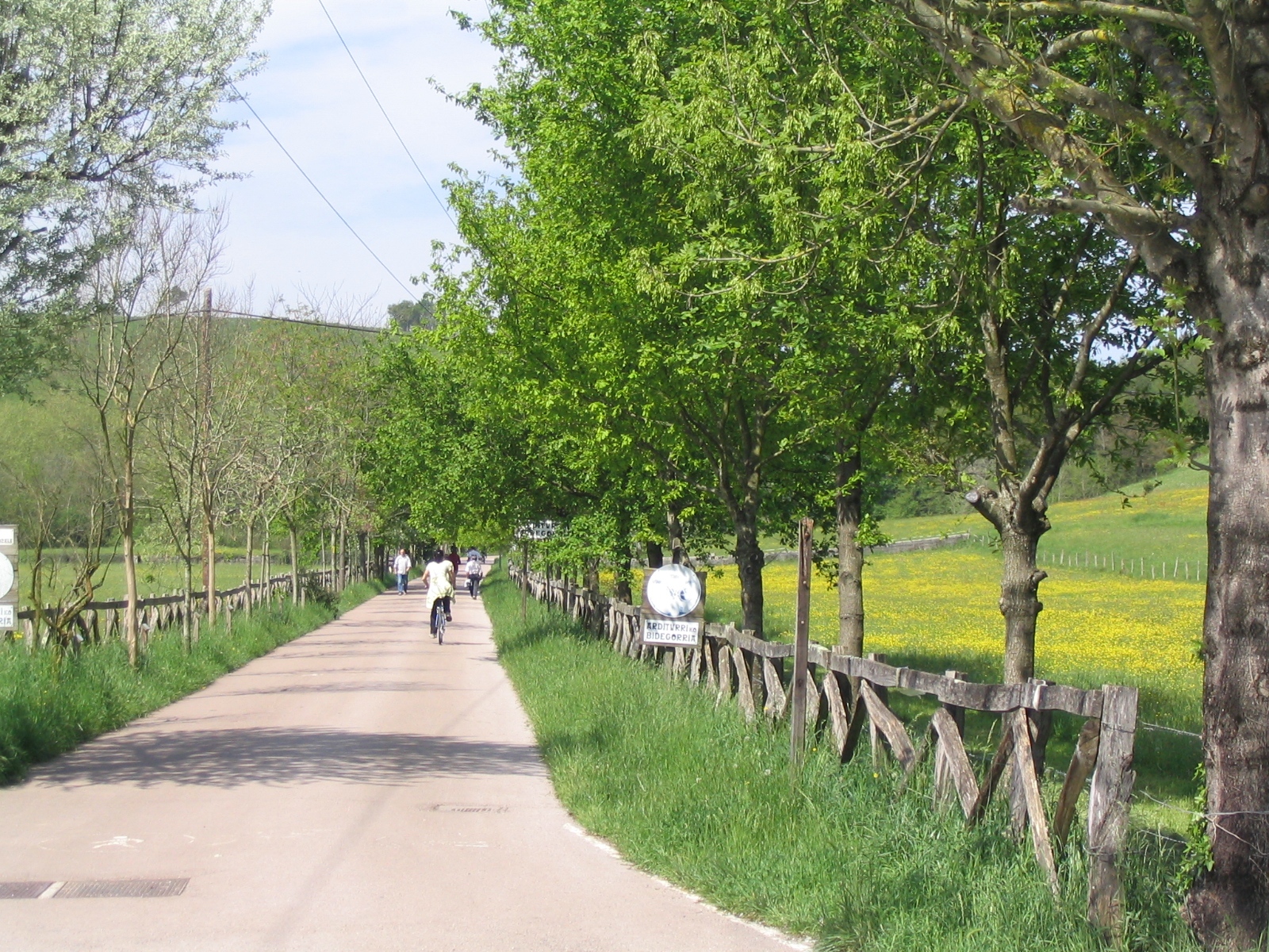 via verde arditurri1